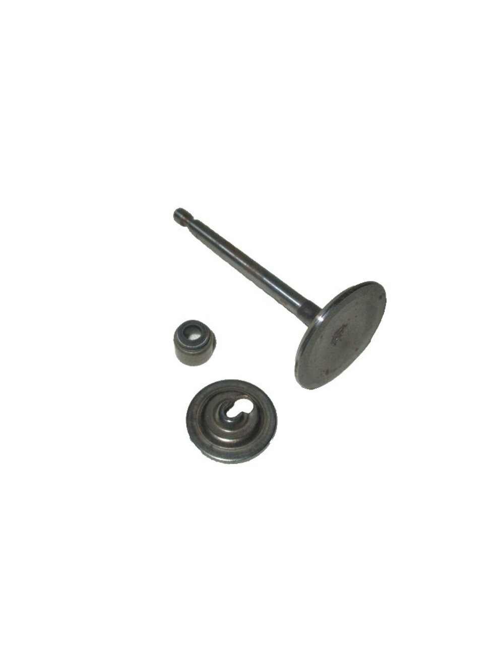 Genuine Briggs and Stratton 495857 Intake Valve OEM OP12 M20